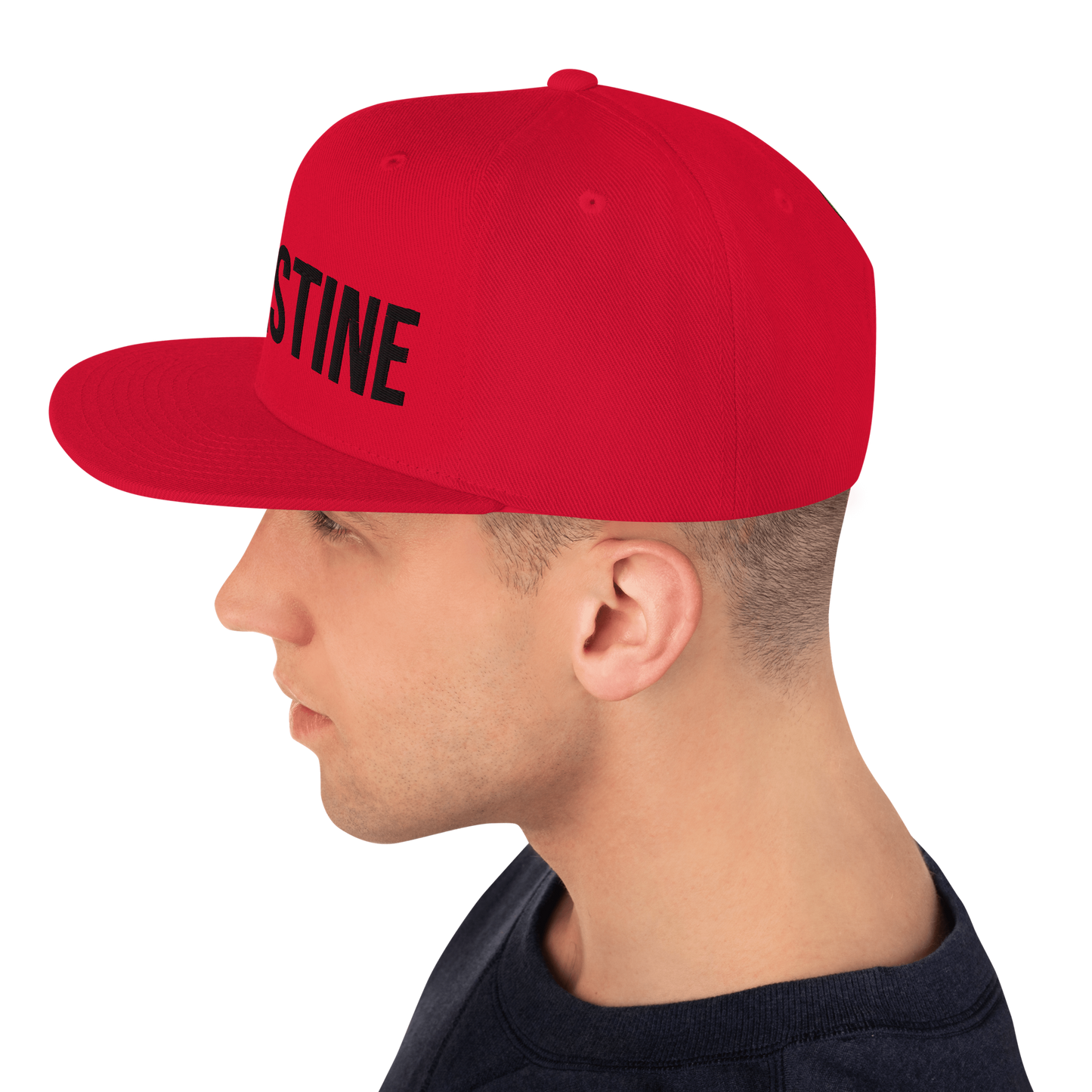 Origin48 Edition - Palestine Snapback (Available in 8 colors)