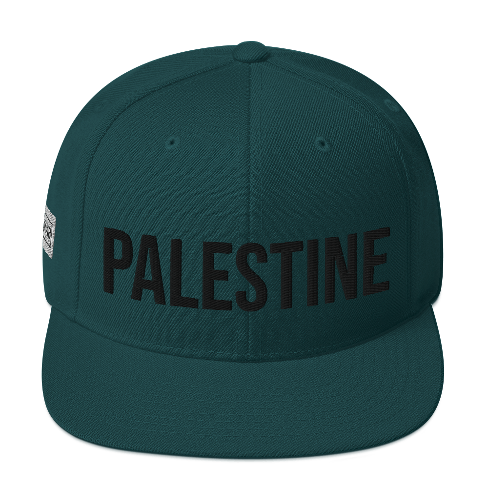 Origin48 Edition - Palestine Snapback (Available in 8 colors)