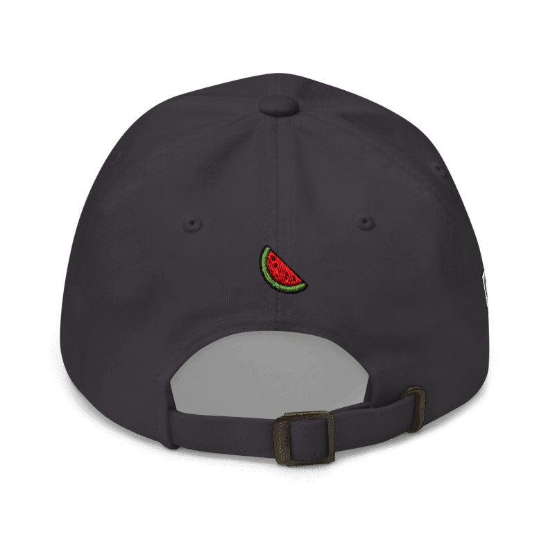 Origin48 - Palestine hat (Dark grey/Pink)