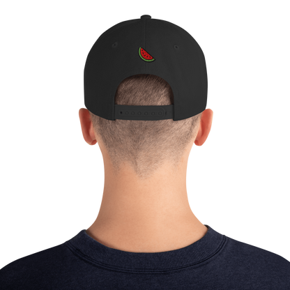 Origin48 Edition - Palestine Snapback (Available in 8 colors)