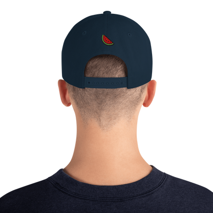 Origin48 Edition - Palestine Snapback (Available in 8 colors)