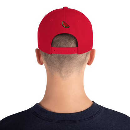 Origin48 Edition - Palestine Snapback (Available in 8 colors)