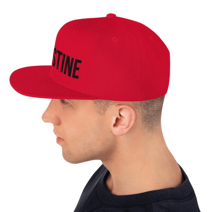 Origin48 Edition - Palestine Snapback (Available in 8 colors)