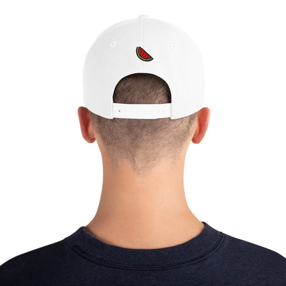Origin48 Edition - Palestine Snapback (Available in 8 colors)